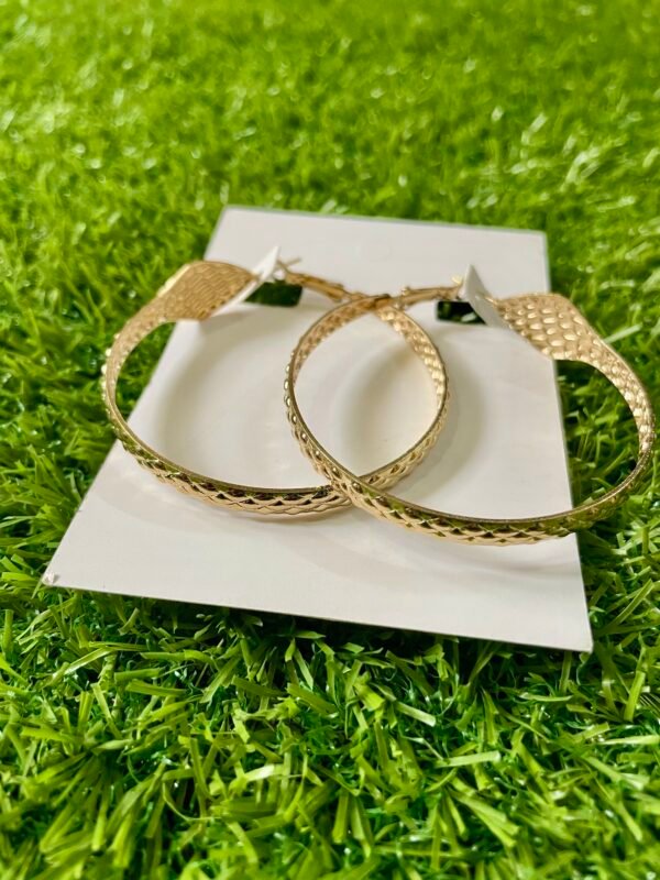 Imported Gold Hoop Earrings for Women - Image 4