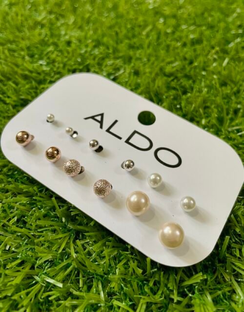 Aldo Stud Earrings Set for Women
