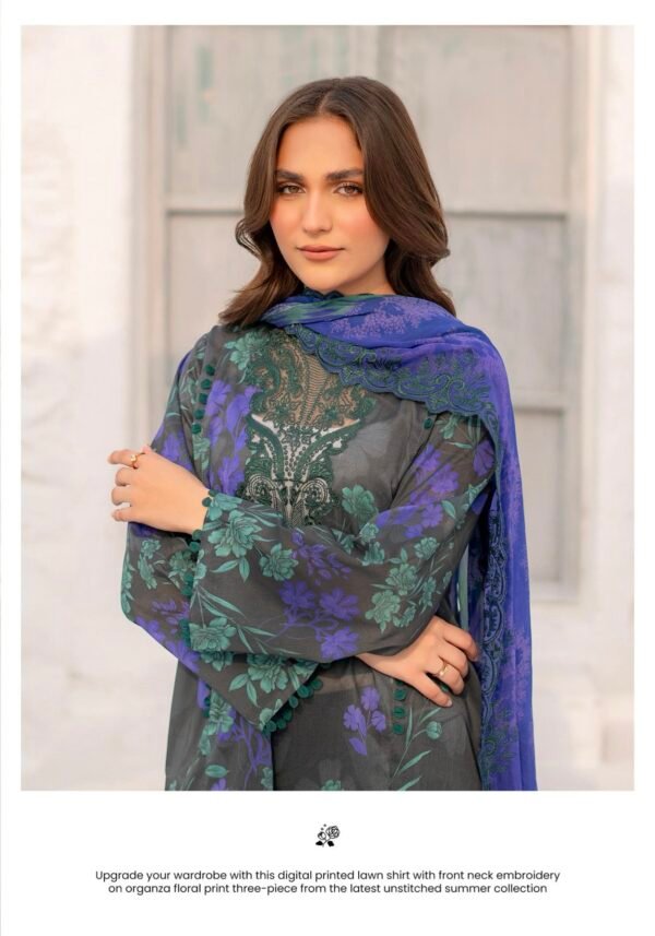 DUSKEN by Gull Jee - UNSTITCHED 3 PIECE COLLECTION VOL-01 / EDIT'25 - D04 - Image 3
