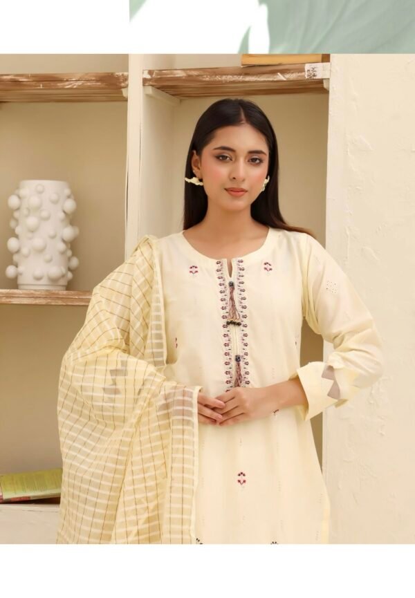BAU-G Stitched 3 Piece Embroidered Chickankari Collection - D01 - Image 2