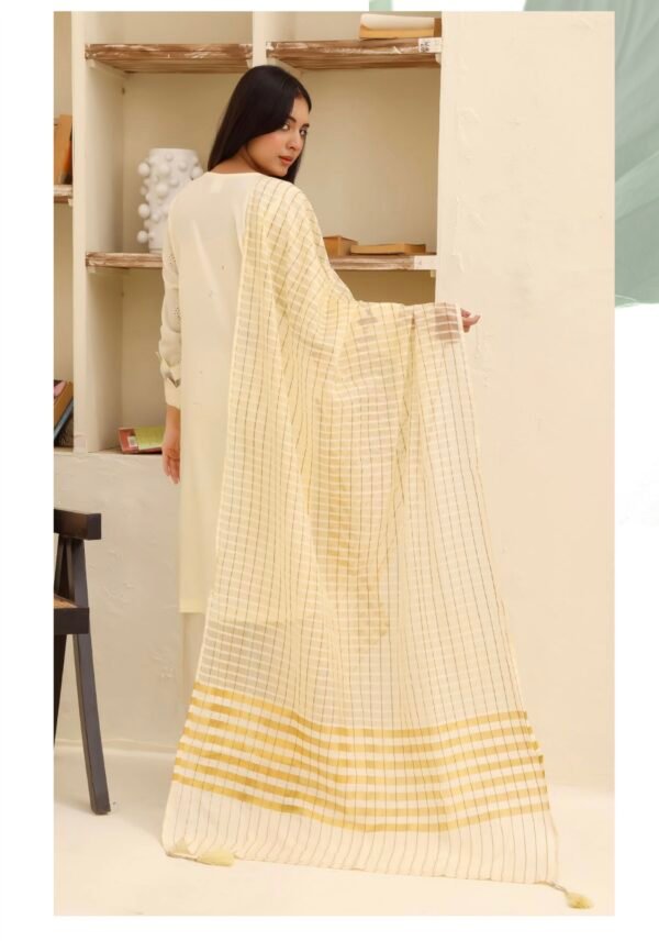 BAU-G Stitched 3 Piece Embroidered Chickankari Collection - D01 - Image 3