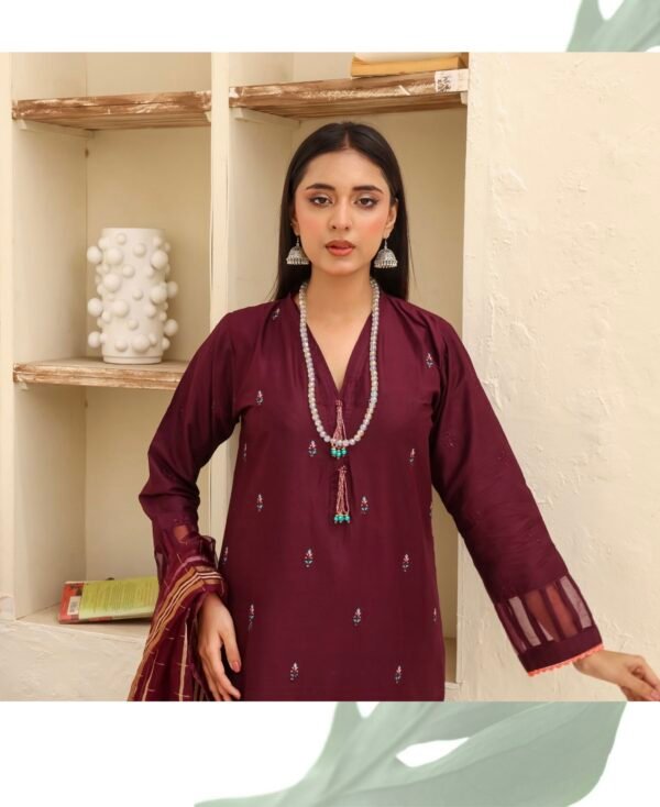 BAU-G Stitched 3 Piece Embroidered Chickankari Collection - D02 - Image 2