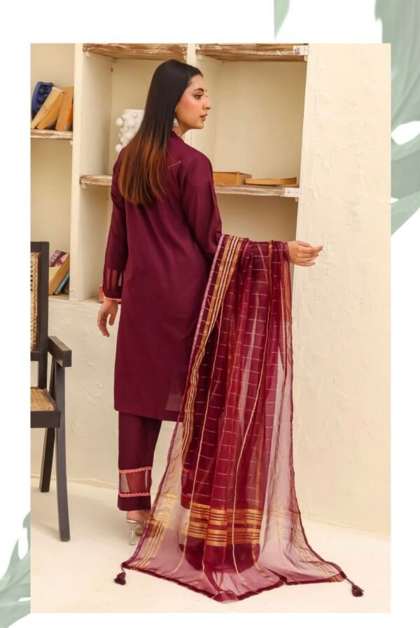 BAU-G Stitched 3 Piece Embroidered Chickankari Collection - D02 - Image 3