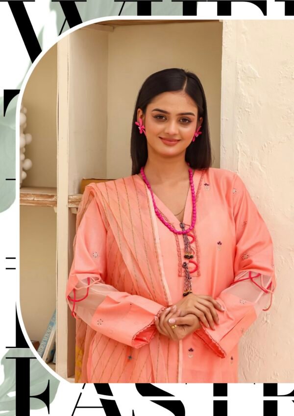 BAU-G Stitched 3 Piece Embroidered Chickankari Collection - D03 - Image 2
