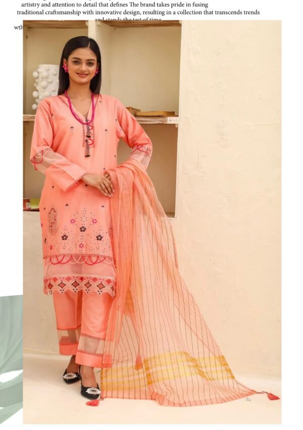 BAU-G Stitched 3 Piece Embroidered Chickankari Collection - D03