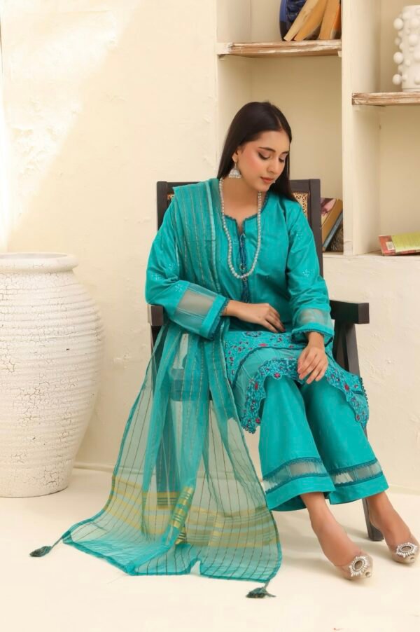 BAU-G Stitched 3 Piece Embroidered Chickankari Collection - D09 - Image 2
