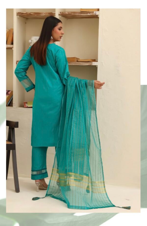 BAU-G Stitched 3 Piece Embroidered Chickankari Collection - D09 - Image 3