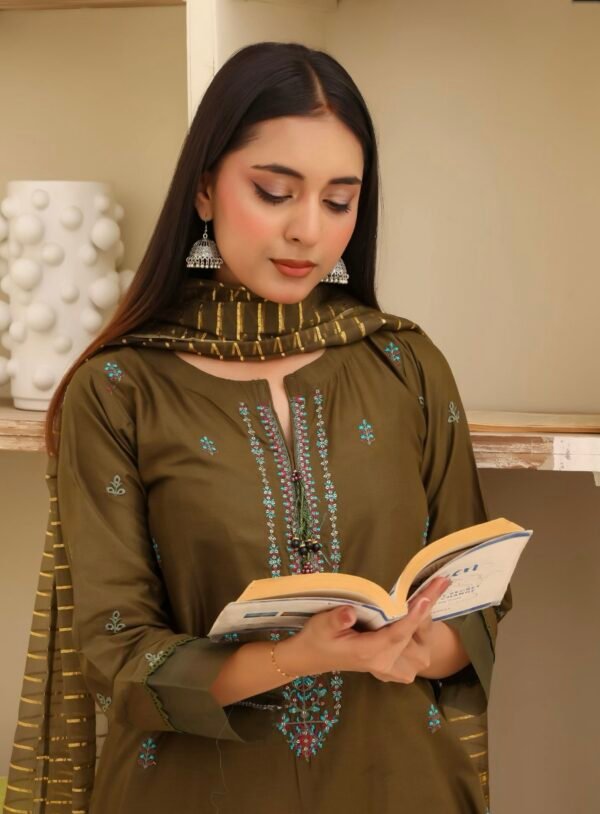 BAU-G Stitched 3 Piece Embroidered Chickankari Collection - D11 - Image 2