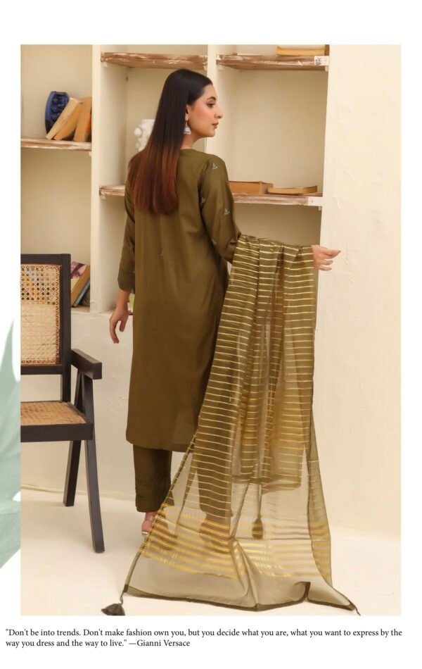 BAU-G Stitched 3 Piece Embroidered Chickankari Collection - D11 - Image 3