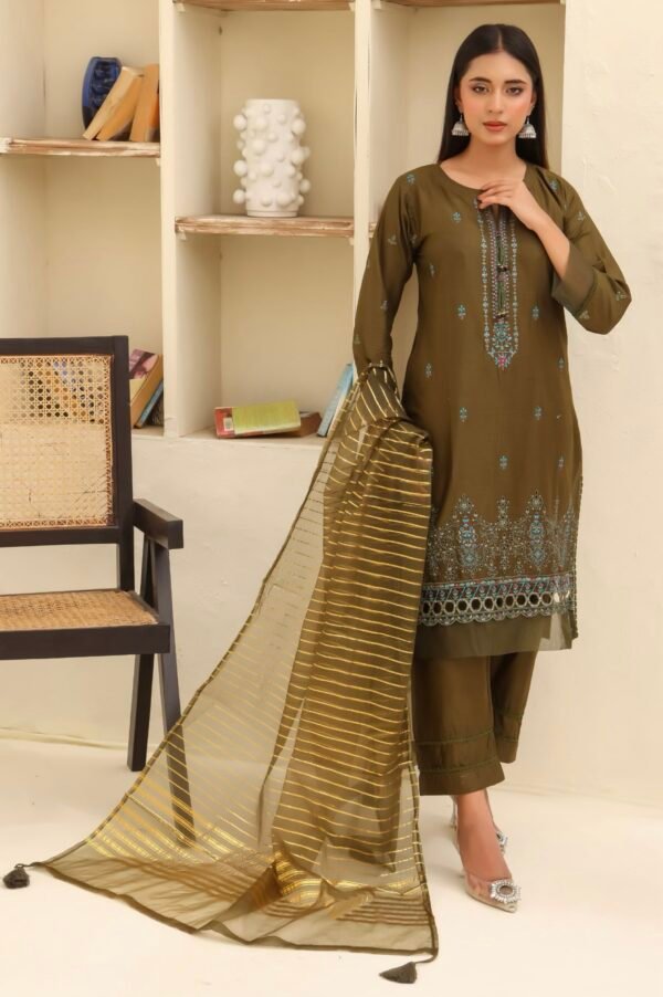 BAU-G Stitched 3 Piece Embroidered Chickankari Collection - D11