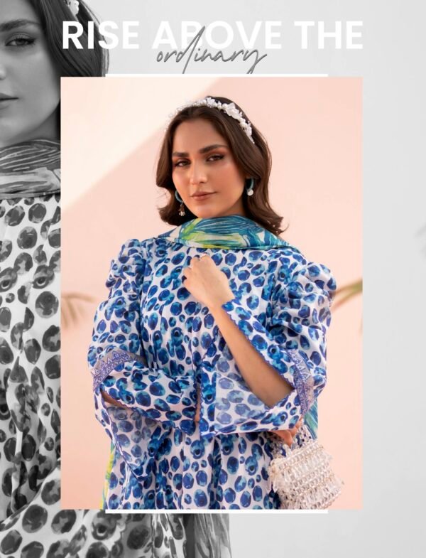 Roop by BRENISH - Unstitched 3 Piece Lawn Collection Volume 1 - A10 - Image 3